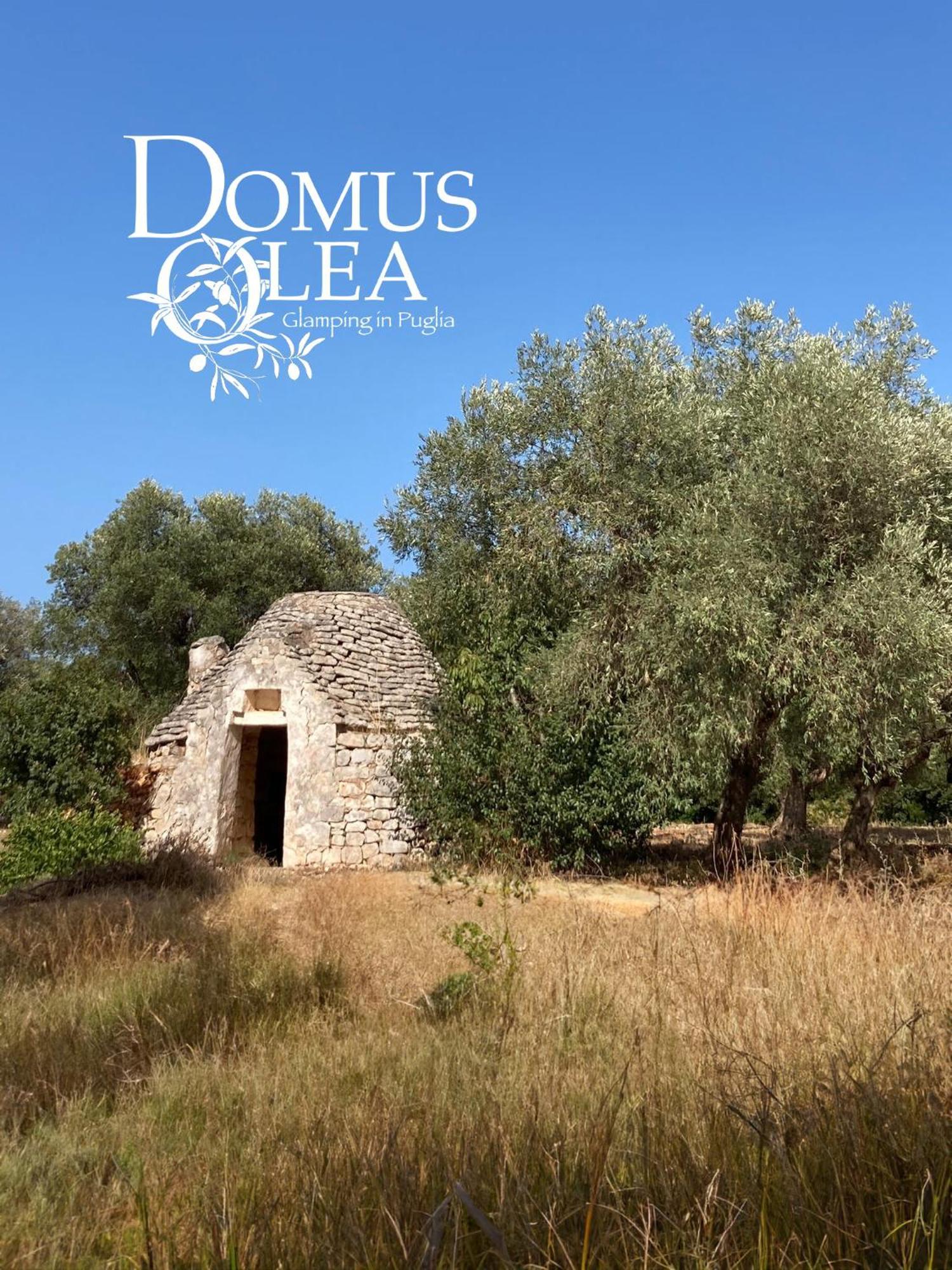 Domus Olea Glamping Hotel Ceglie Messapica Luaran gambar