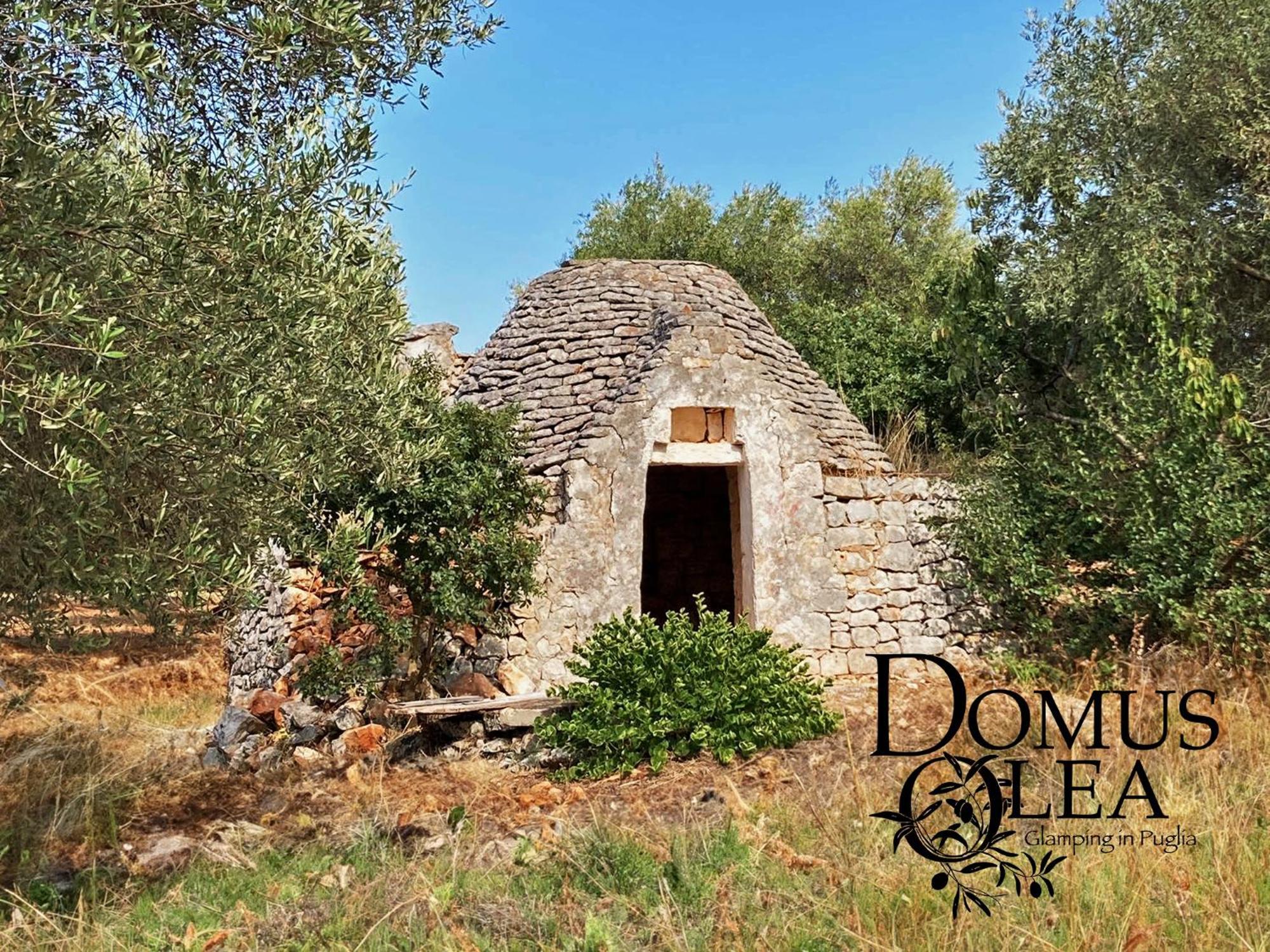 Domus Olea Glamping Hotel Ceglie Messapica Luaran gambar
