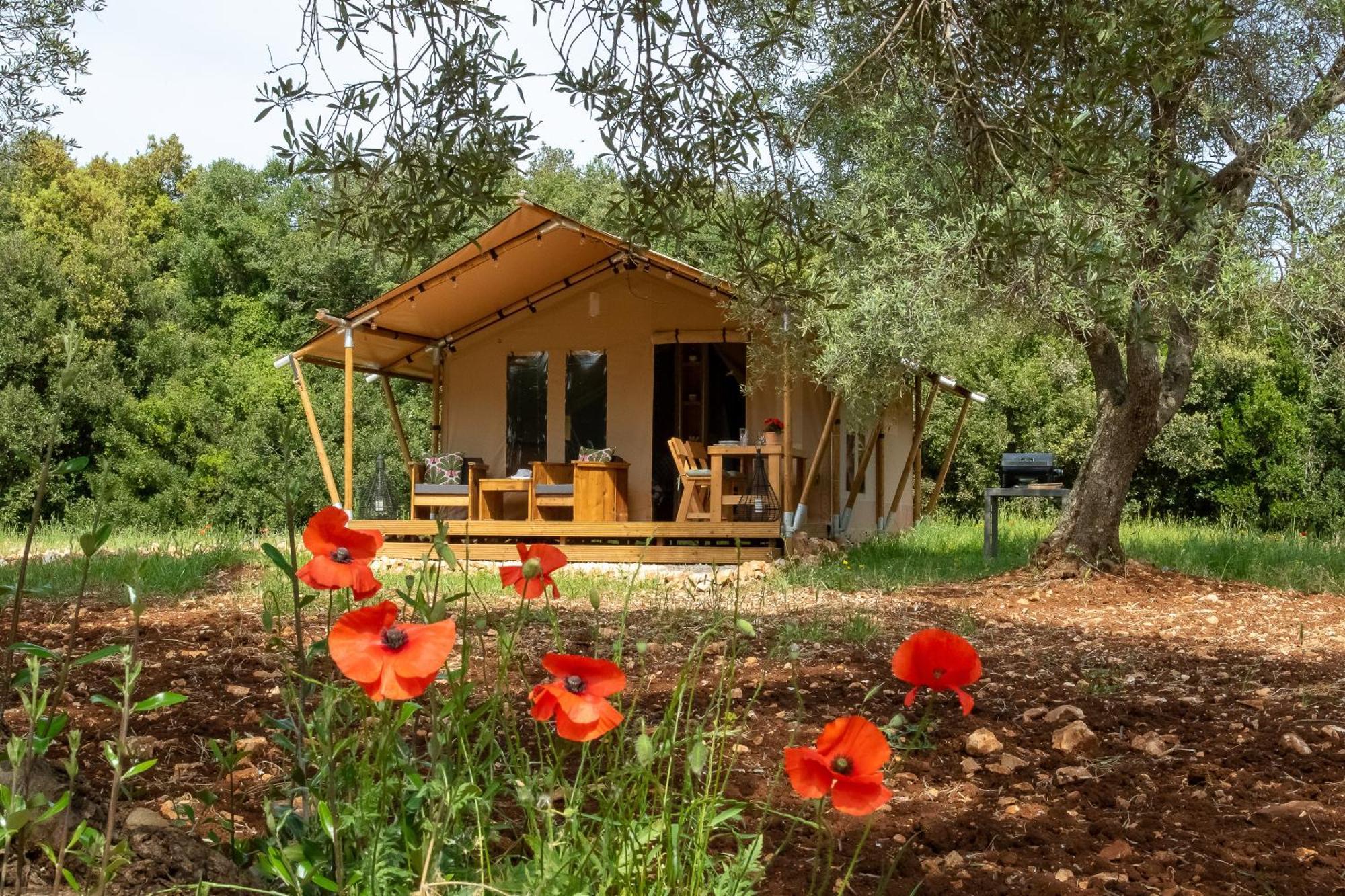 Domus Olea Glamping Hotel Ceglie Messapica Luaran gambar